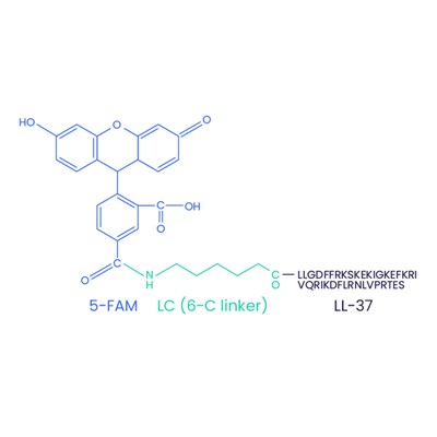 5-FAM-LL-37 (maišytas) CAS 2022972-73-0