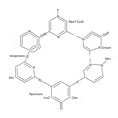 CAS 1488411-60-4 Invopresinas